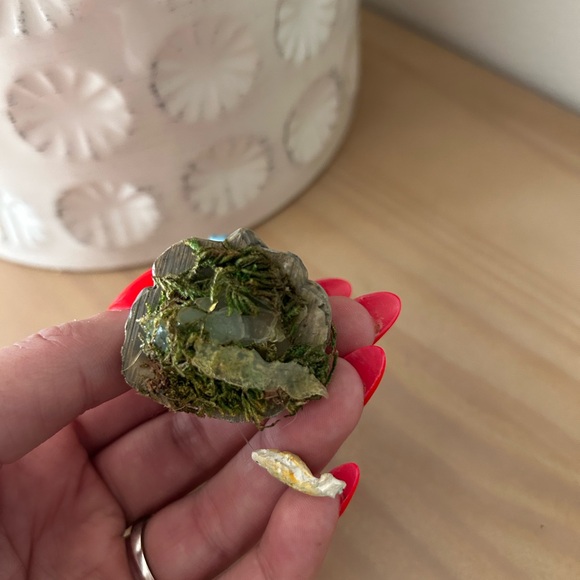 🧚 Fairy Whimsical Garden Gnome and Mushroom Decor 5 piece Set - Picture 12 of 12